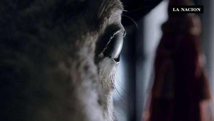 Recomendado de series: The night of