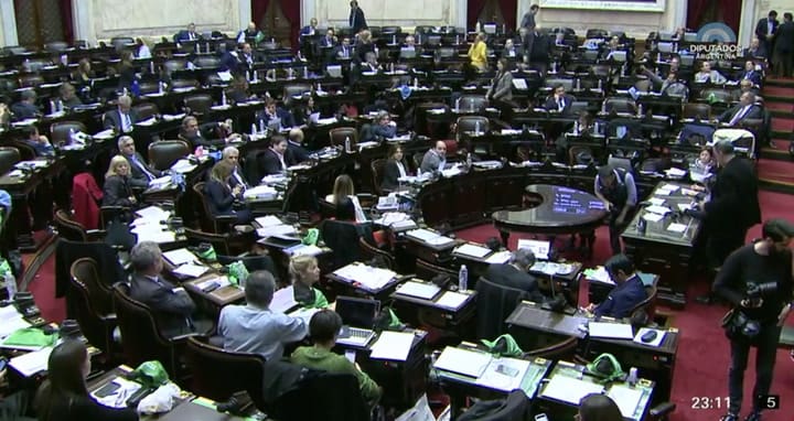 Debate por el aborto: Máximo Kirchner votará a favor y explicó sus razones - Fuente: HCDN