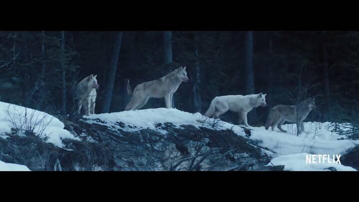 Trailer de Hold the Dark - Fuente: YouTube