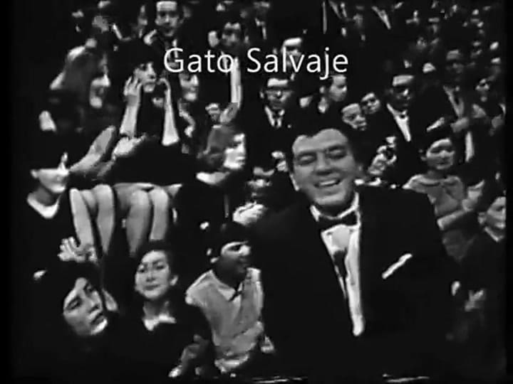 The American Beetles - Live 1964 - Mean woman blues - Clip TV Canal 9 - Buenos Aires - Argentina