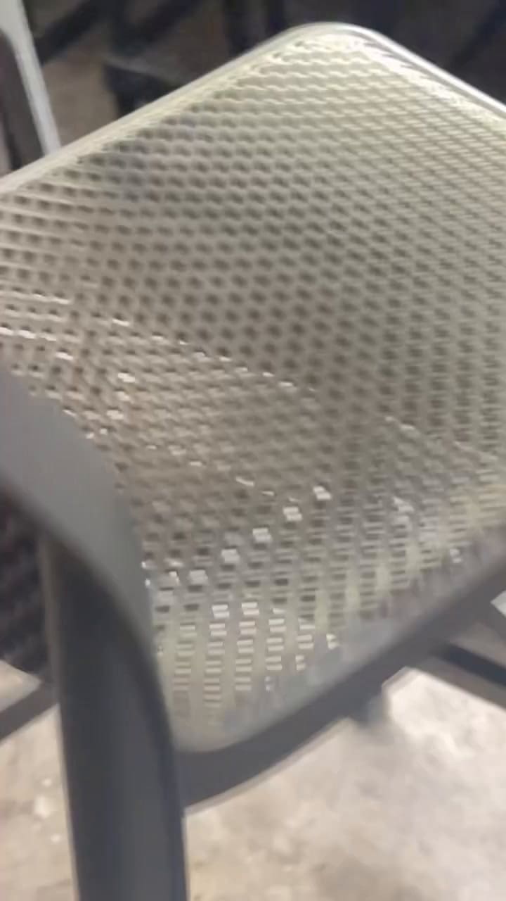 Apareció una serpiente en la casa de Evangelina Anderson