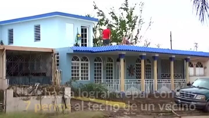 Pareja portorriqueña salva mascotas del huracán María