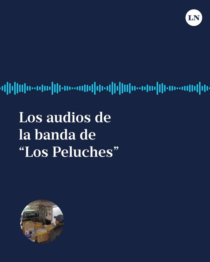 Los audios de la banda de “Los Peluches”
