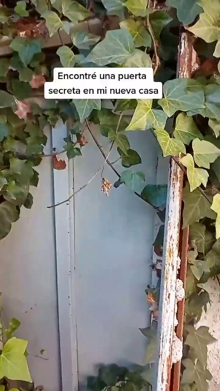 Compró una casa y encontró una habitación escondida en su exterior