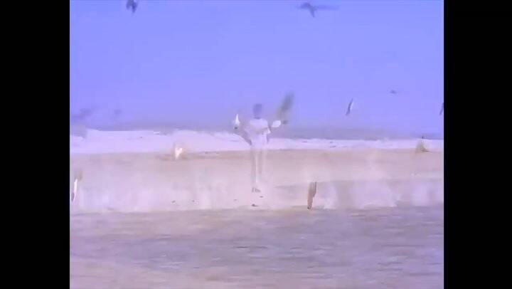 “Tengo todo excepto a ti”, el video viral de Lionel Messi en la piel de Luis Miguel