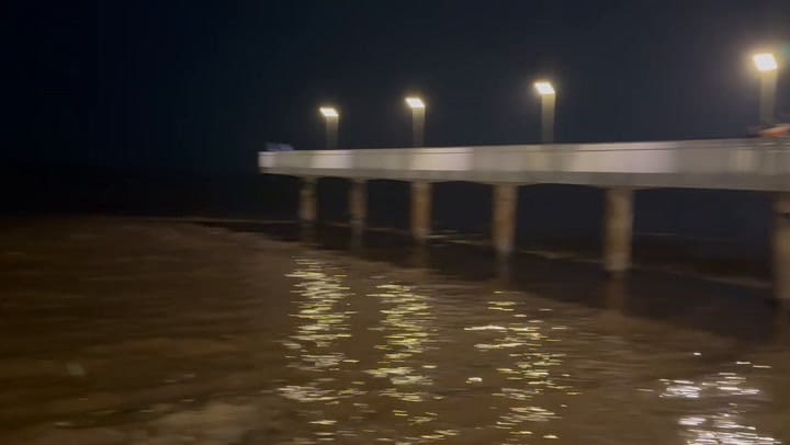 Una ballena quedó encallada en la costanera de la ciudad de Buenos Aires