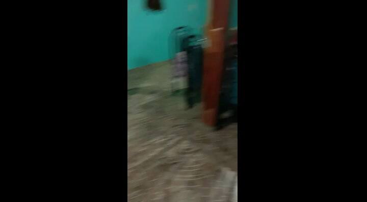 Los gallos de riña de Máximo Cantero, alias El Viejo, fundador de la Banda de los Monos