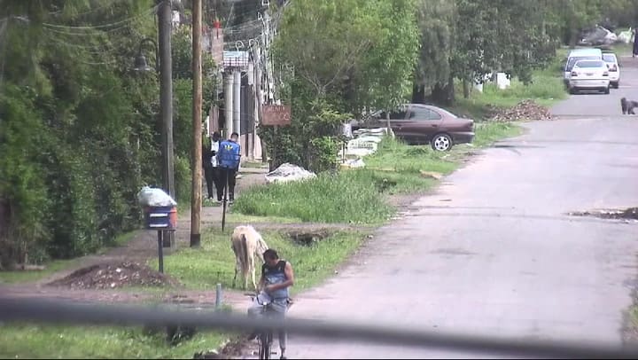 Las pruebas de la zona de venta