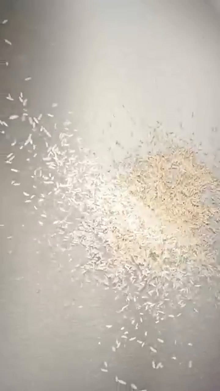 Cómo utilizar el arroz para el ritual del Feng Shui