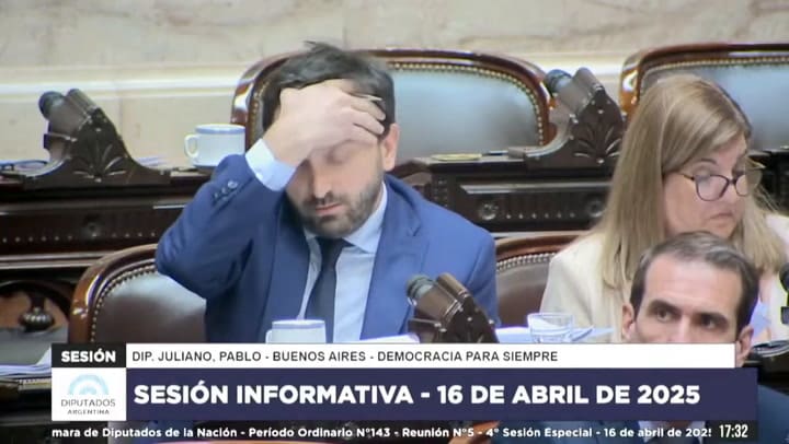 La exposición de Pablo Juliano en la Cámara de Diputados