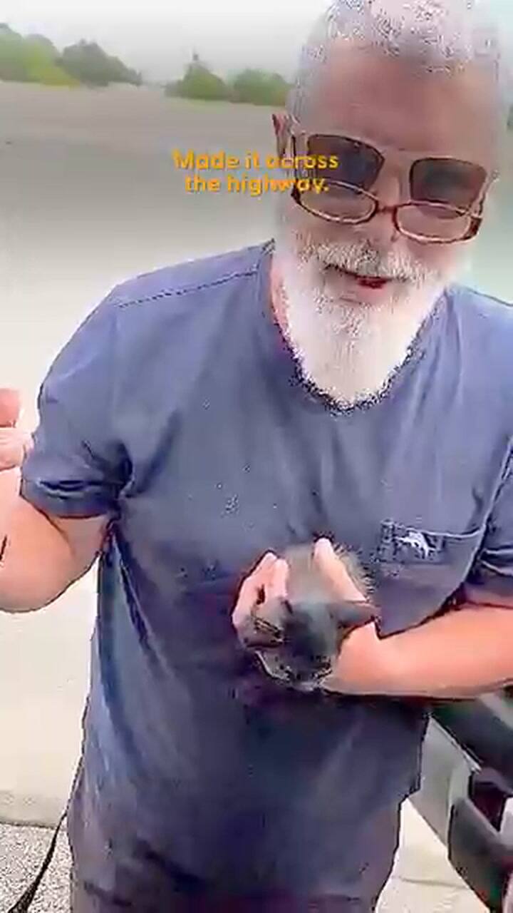 El video del rescate de un gato pequeño