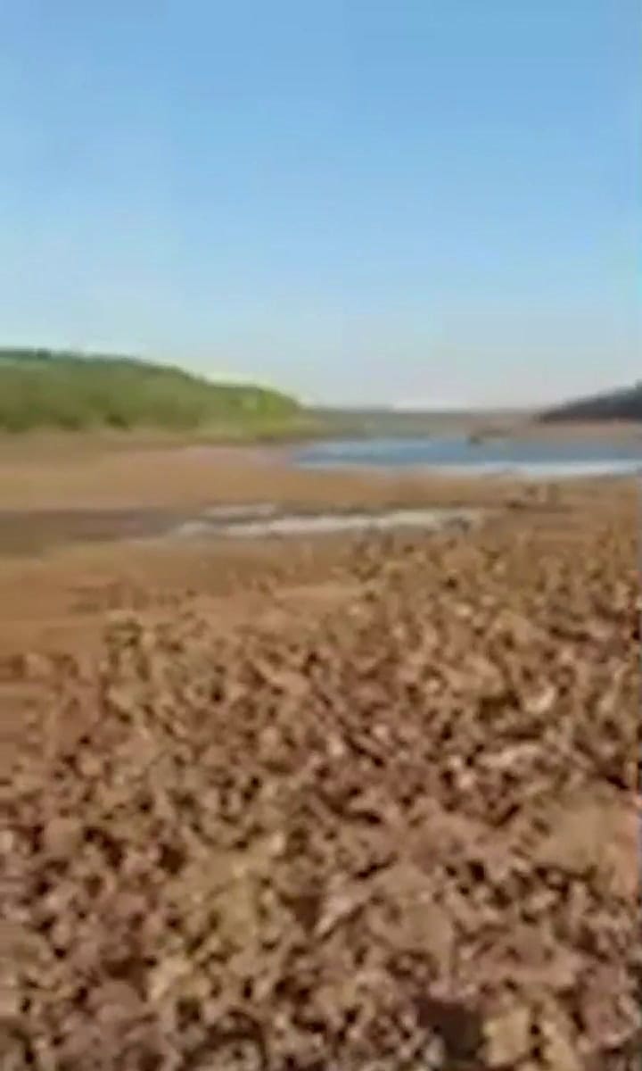 Por la bajante del Paraná, cruzan caminando de Argentina a Paraguay