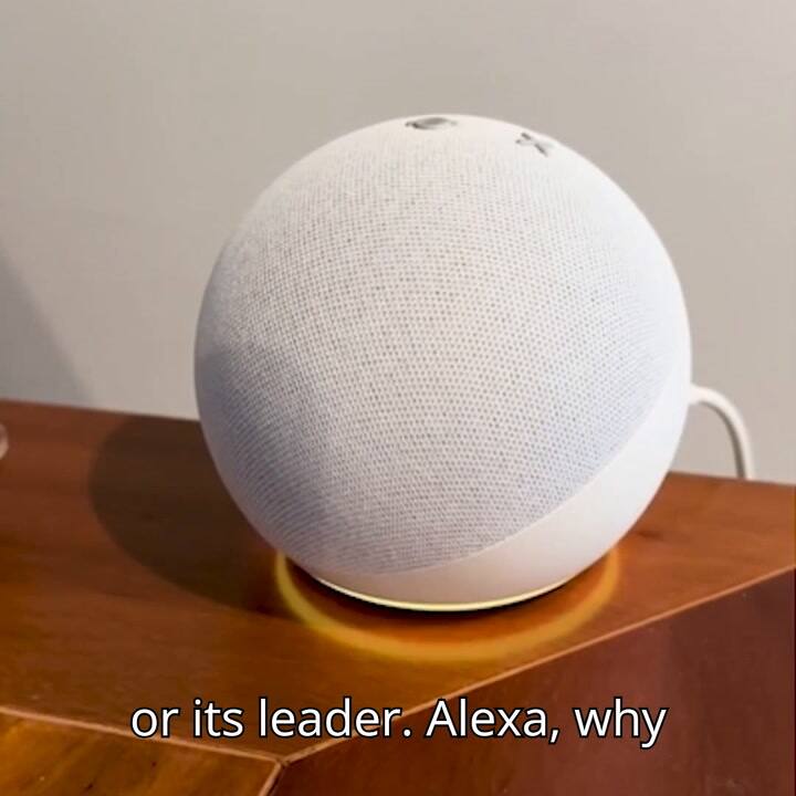 Alexa Fin