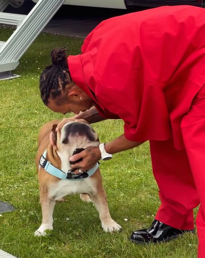 Lewis Hamilton Dog