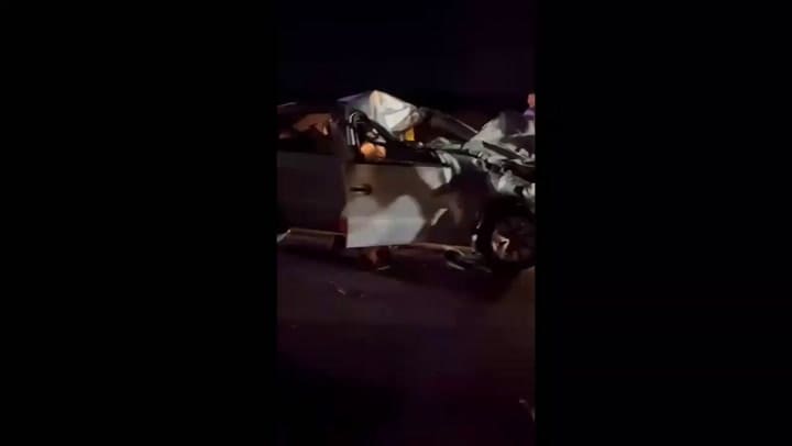 Un auto chocó a un búfalo y cinco personas fueron derivadas a un hospital