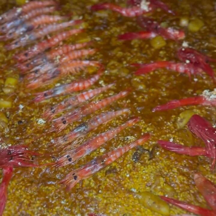 El menú compuesto por langostinos que eligieron Schwartzman y sus amigos en Ibiza