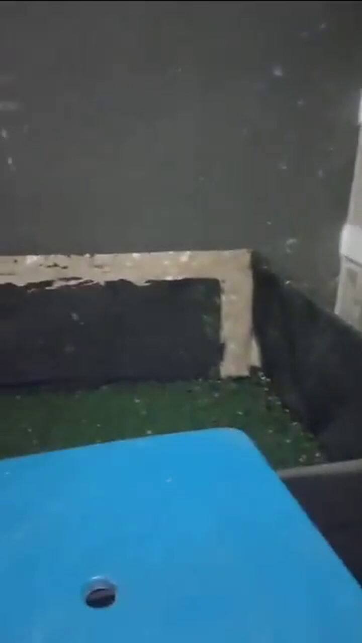 Descubrieron un criadero ilegal de gallos de riña