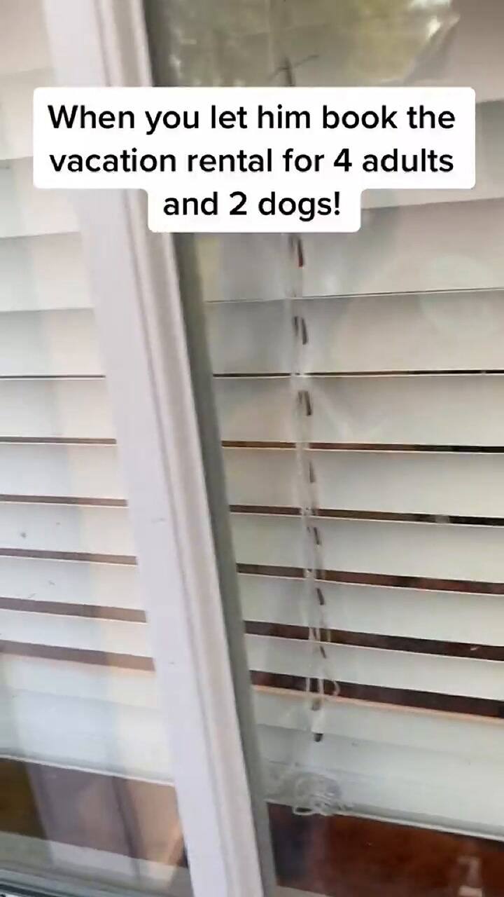 Papá reserva por error una casa minúscula para sus vacaciones familiares