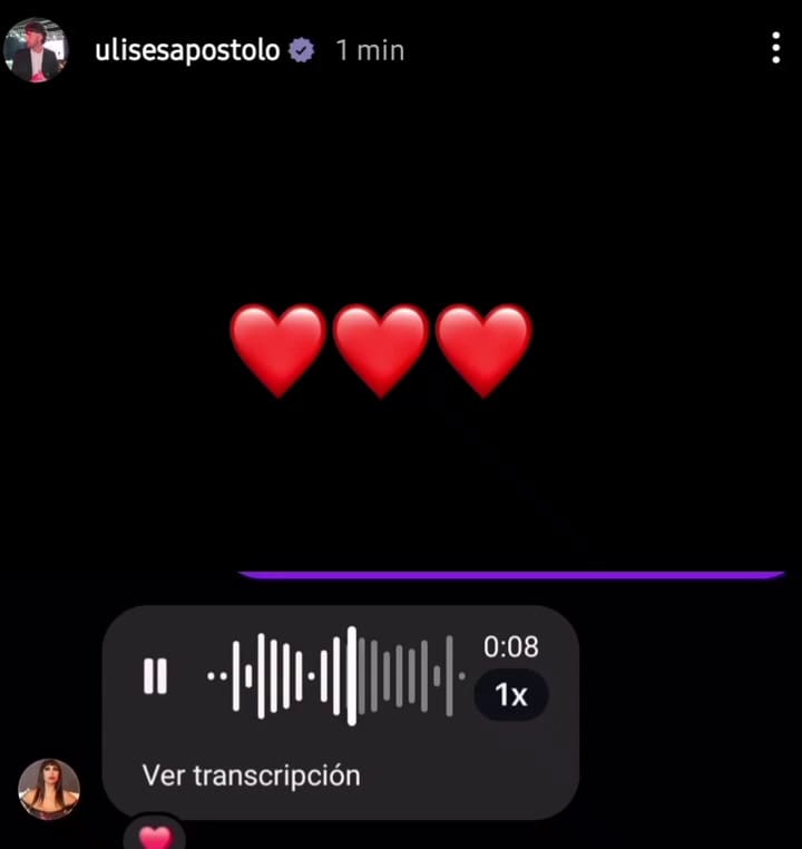 El mensaje de audio que le envió Moria Casan a la cuenta de Instagram de Ulises Apóstolo