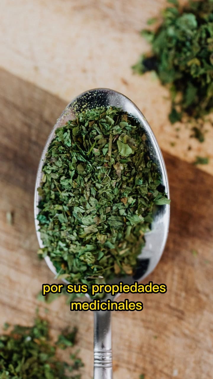 Beneficios De Tomar Té De Orégano En Ayunas