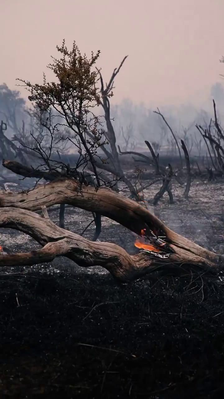 Incendio en el parque Los Alerces y visita del gobernador