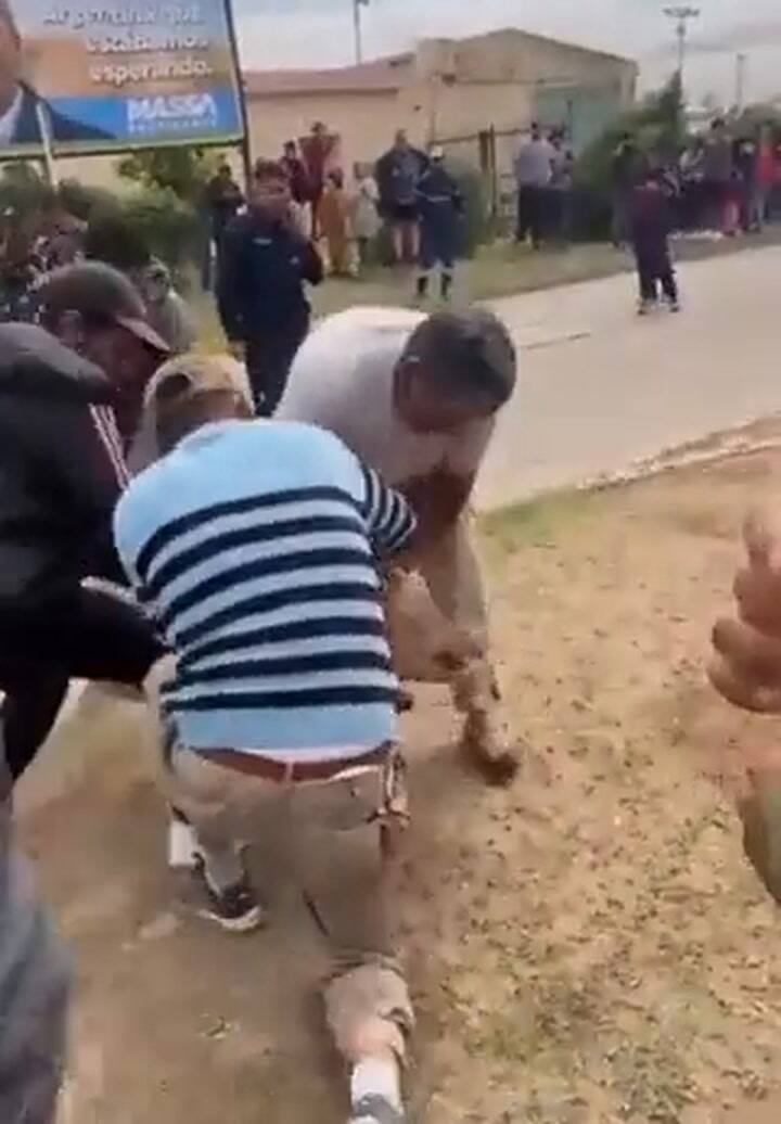 Cerdos Jesus María 2