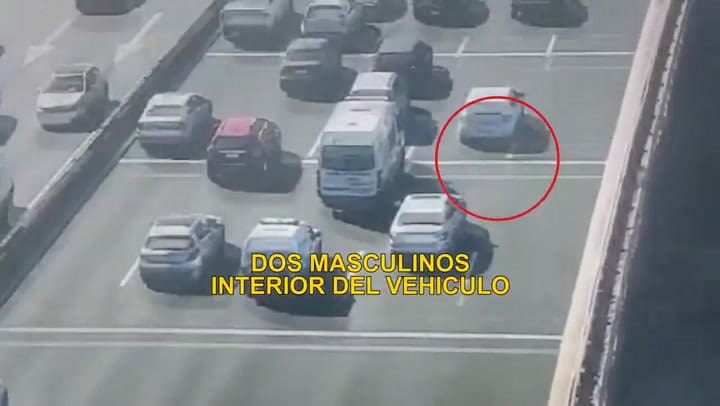 Una persecución policial en Palermo terminó adentro del Rosedal