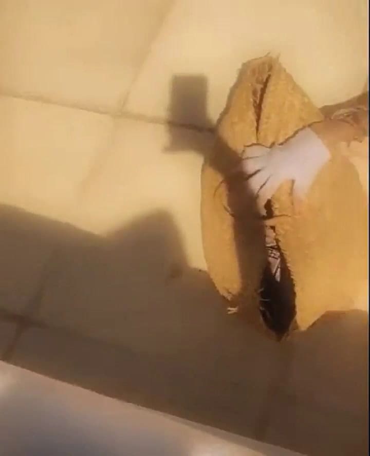 El divertido video de Susana Giménez y su nieta Lucía Celasco - Fuente: Instagram