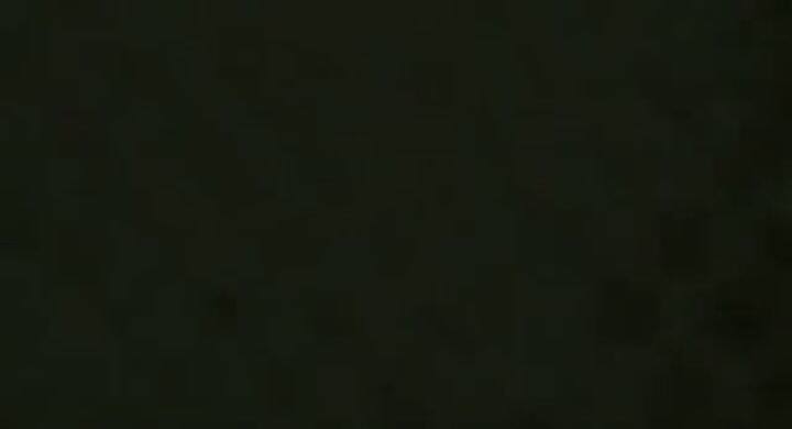 The Woodsman - Trailer - Fuente: YouTube