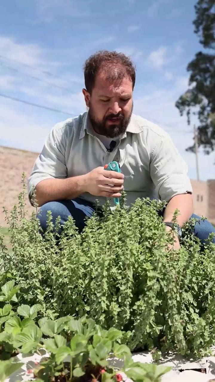 Ssstik.io @Profertilagro 1737739542713