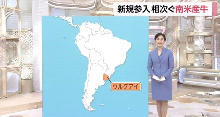 La carne argentina llegó a Japón