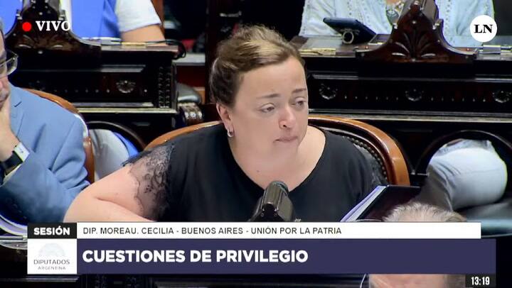 Cecilia Moreau Arremetió Contra Martín Menem, Que Le Apagó El Microfono