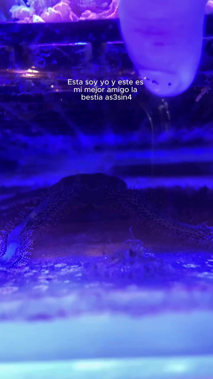 Camila sorprendió a los usuarios de redes sociales con sus videos