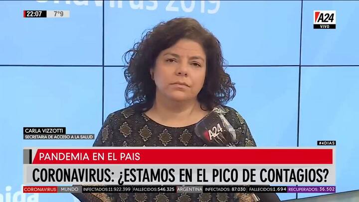 Vizzotti aclaró: 'El 95% de los virus respiratorios son COVID, no hay que subestimar los síntomas'