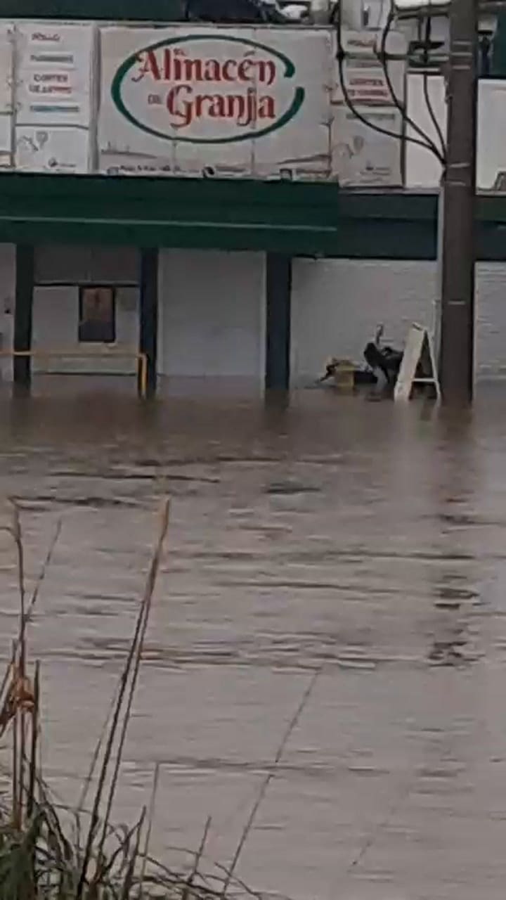 Las inundaciones en una planta avícola de la provincia