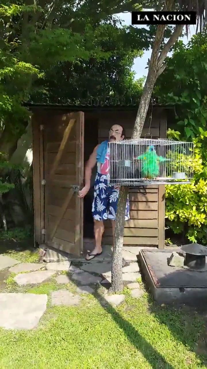 Lo nuevo de Campi en LA NACION: #ZonadeCampi, humor, actualidad, política y algo más