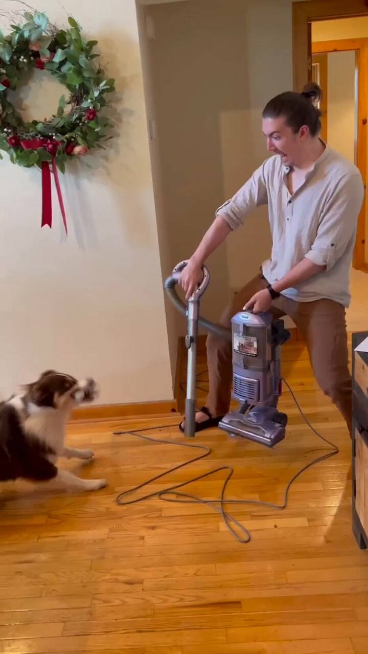 Lady Pinto en acción combatiendo contra una aspiradora