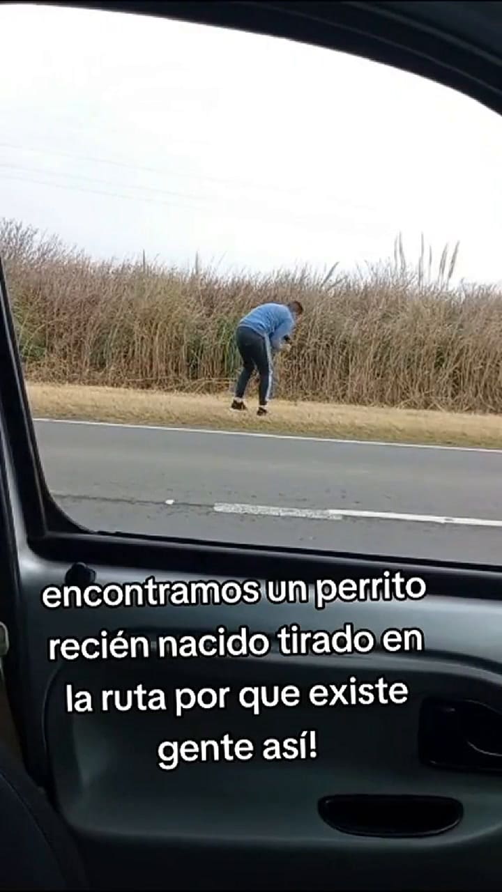 El momento donde encontró al cachorro en la ruta