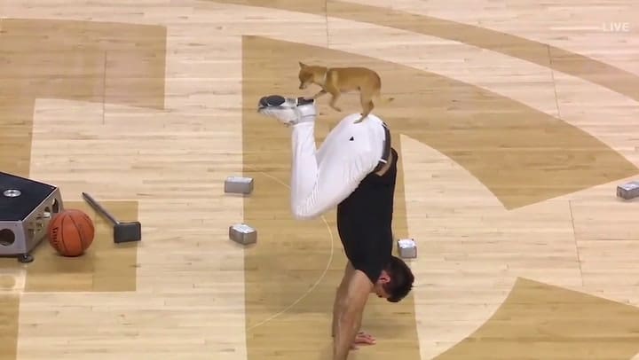 Acróbata y su chicuhua dan un espectacular show de medio tiempo en un partido - Fuente: SEC Network