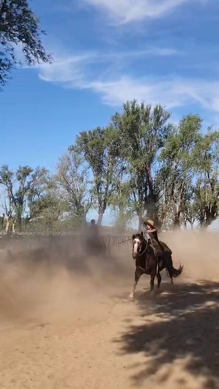 La niña es amante de los caballos y la cultura del campo