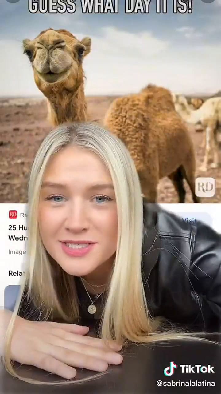 Una joven argentina explica qué significa una frase común en las oficinas de EE.UU.