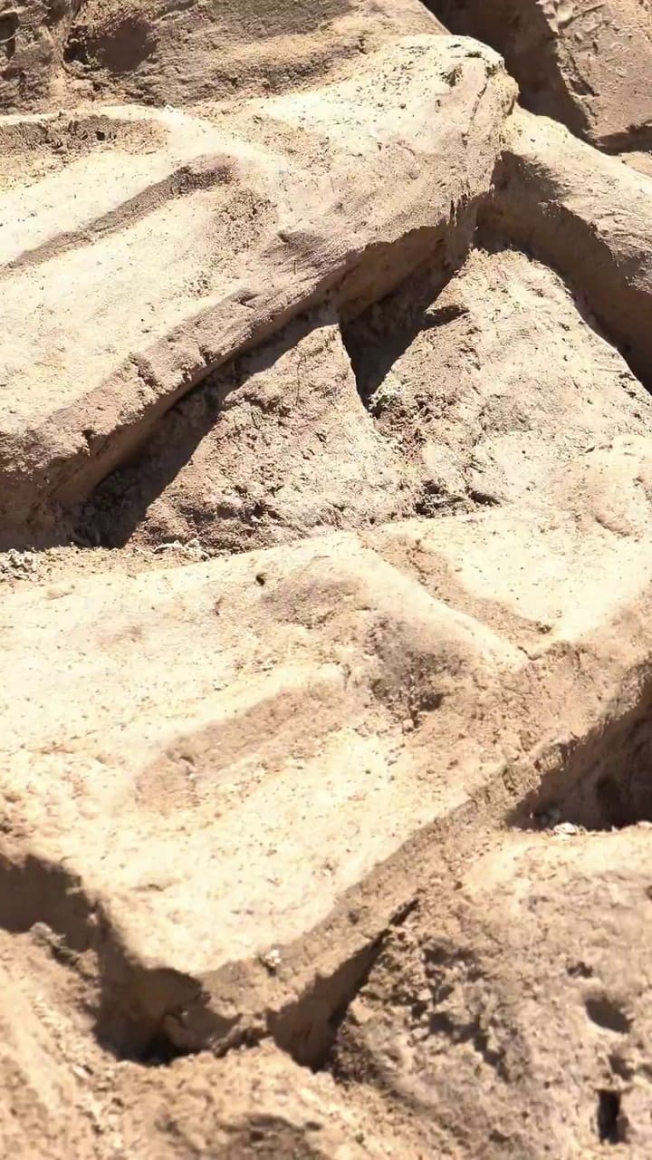 Así es el festival de esculturas de arena en Acapulco