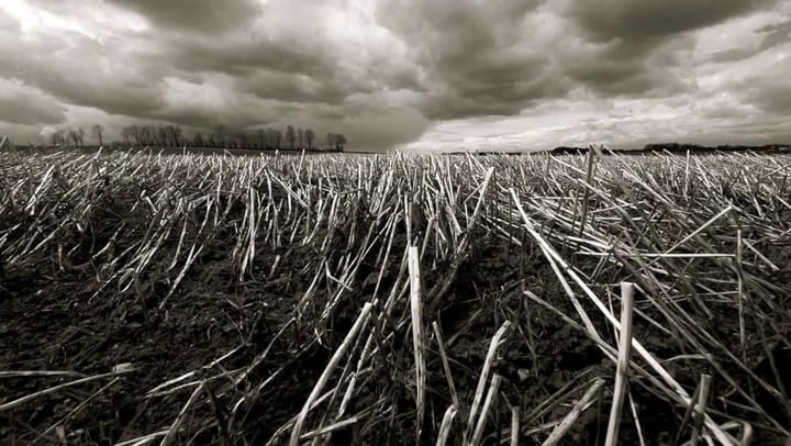 Celeste Carballo 'En la ciudad de la furia'