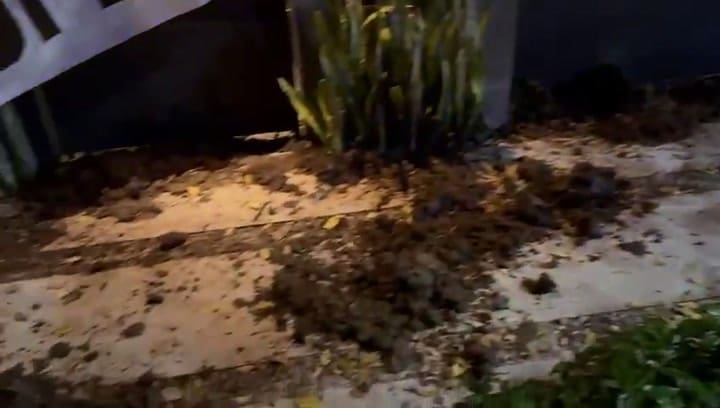 José Luis Espert denunció actos de vandalismo en su domicilio