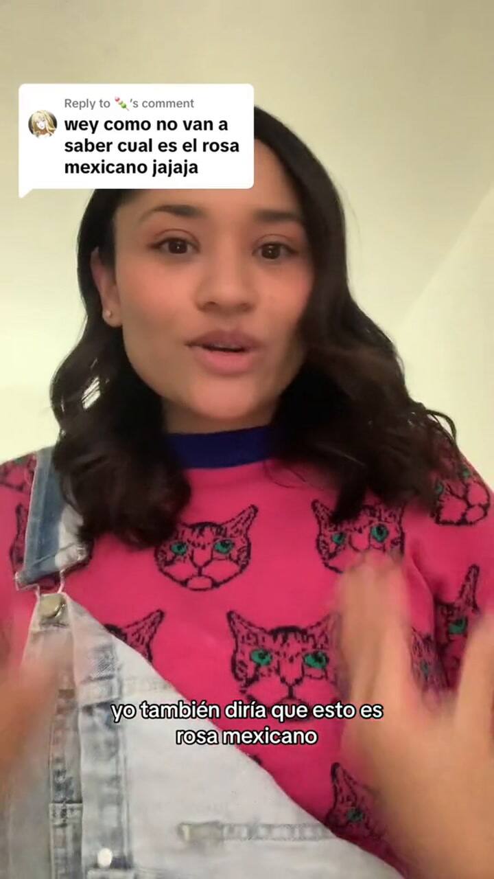 Una joven mexicana vivió un tenso momento al detenida en el aeropuerto de Nueva York: "Temí por mi vida"