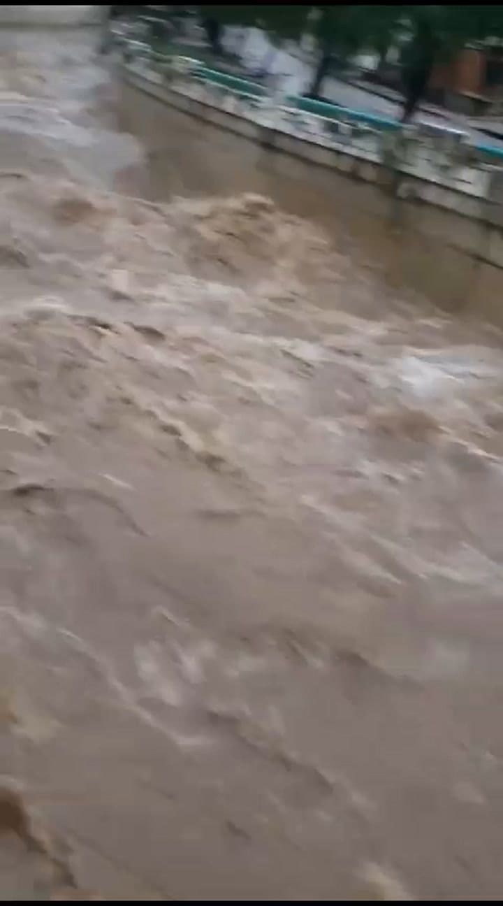 Whatsapp Video 2024-01-07 At 14.35.48