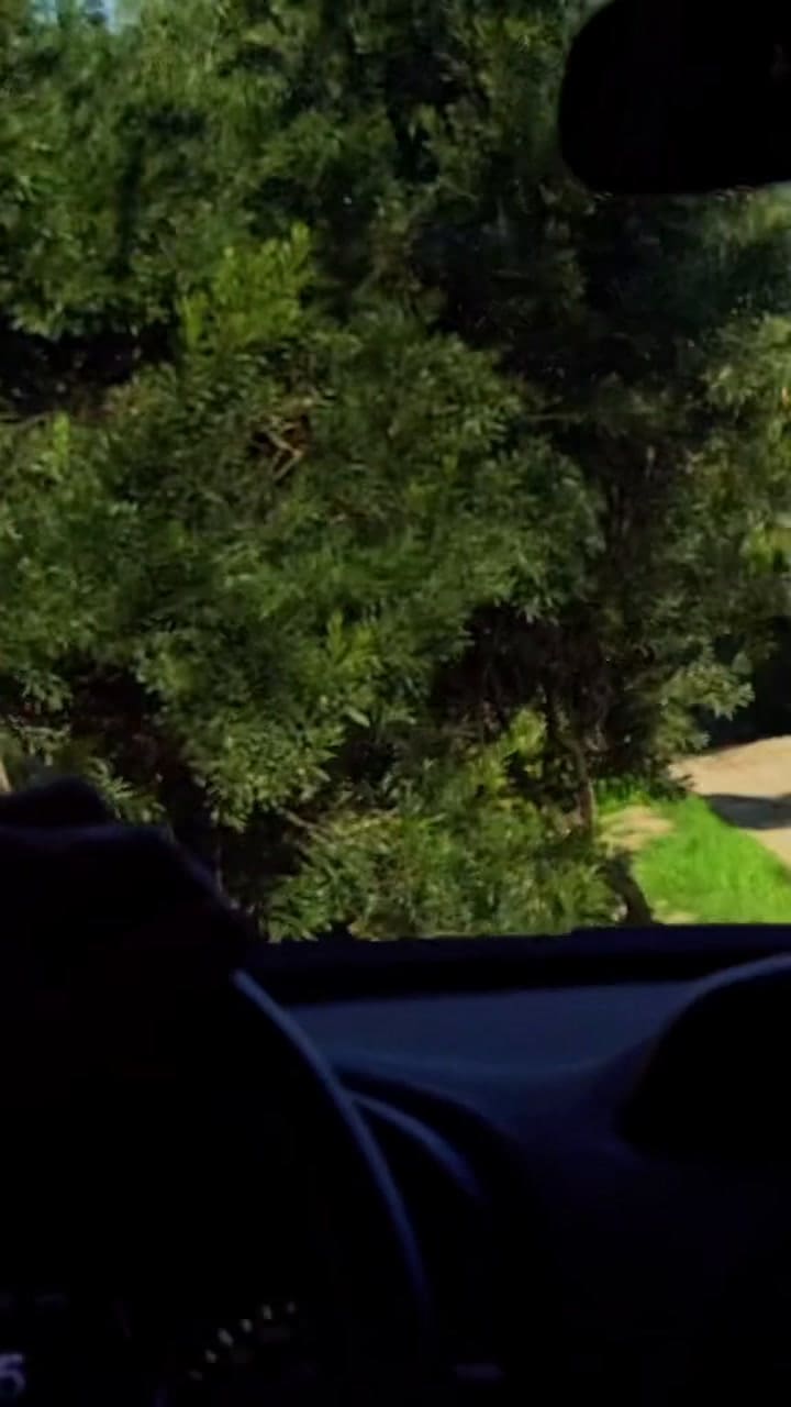 Domos Park villa gesell