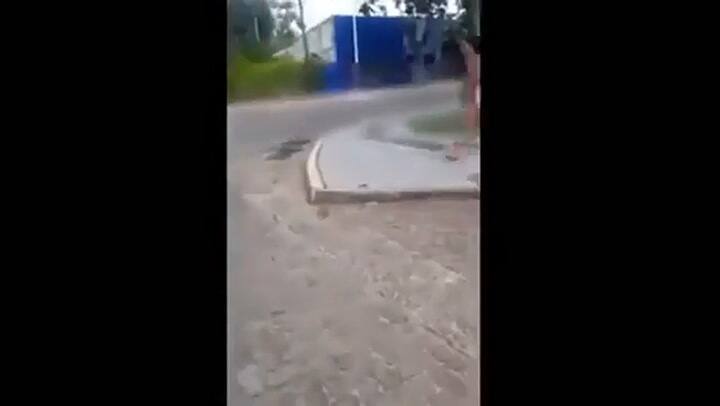 Una mujer corrió desnuda por la calle y se tiró al río tras consumir hongos alucinógenos