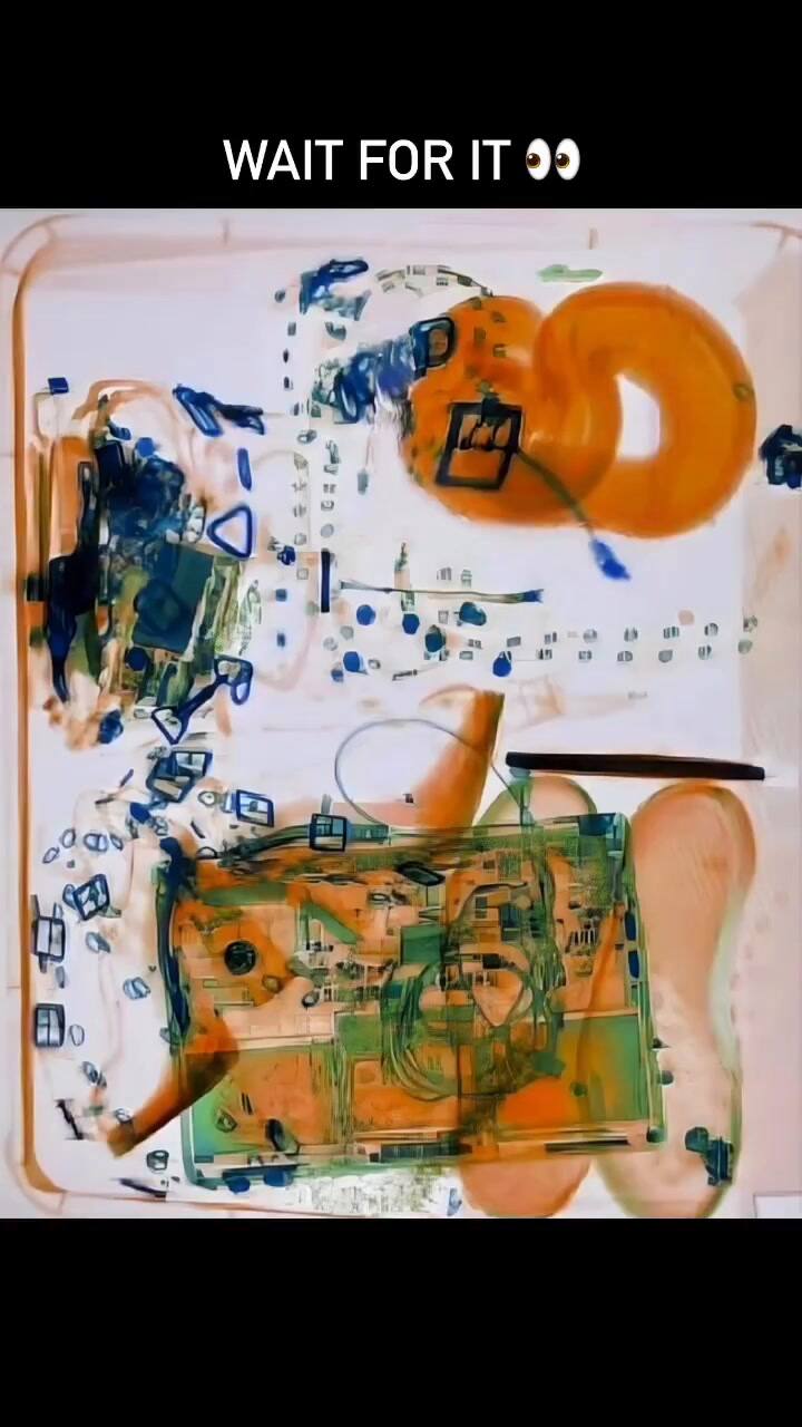 La TSA compartió la historia de la boa en la valija en Instagram