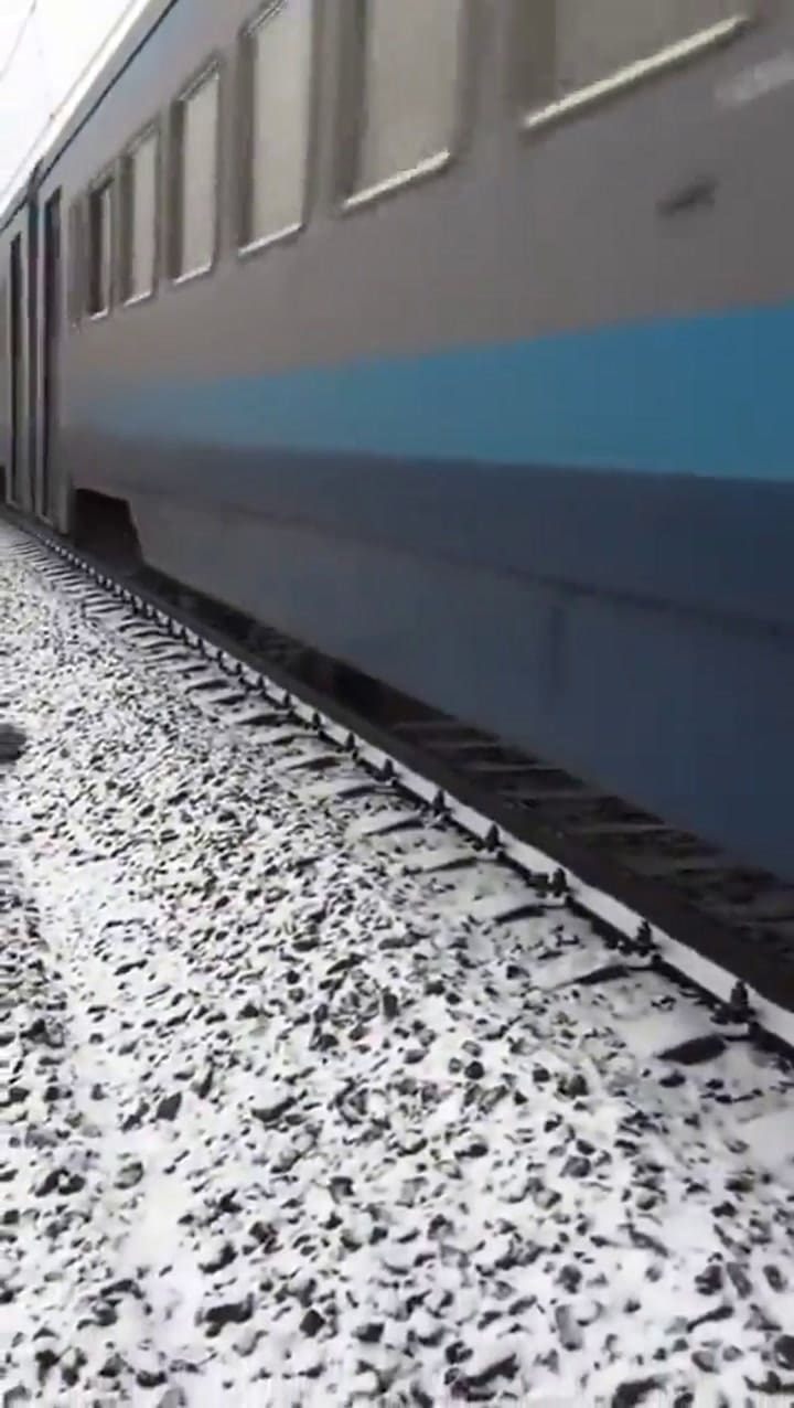 El perro que pasó 2 días en las vías del tren para salvar a su amiga herida